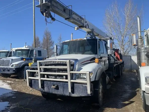 2006 International Terex BT3470 Crane